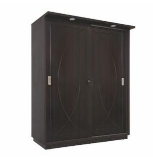 Myra 2 Door Sliding Wardrobe in Matt Finish