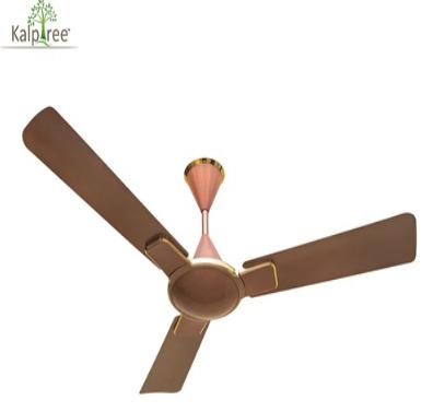 Fortuner Designer Fan 