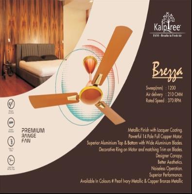 BREZZA Designer Fan 