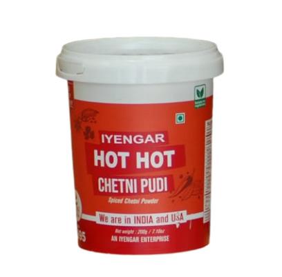 CHETNI PUDI