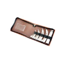 Laryngoscope Set