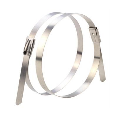 Cable Tie SS