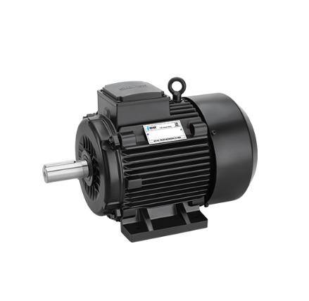 3 Phase Induction Motor
