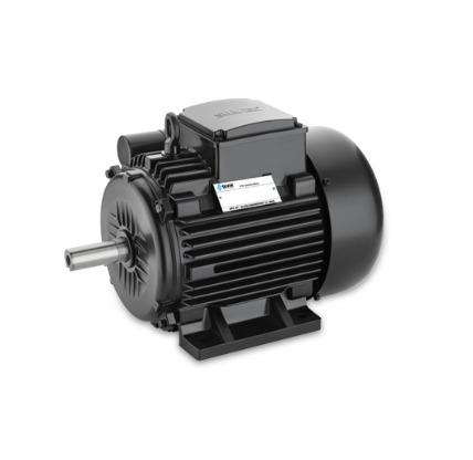 Single Phase Induction Motor