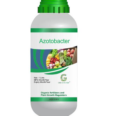 Azotobacter Fertilizer