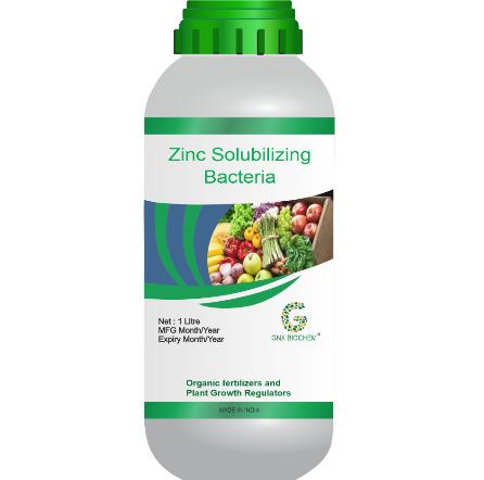 Zinc Solubilizing Bacteria Organic Fertilizer