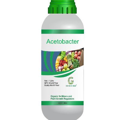 Acetobacter Organic Fertilizer