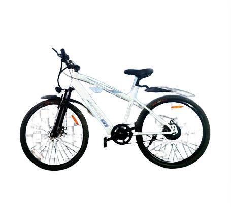Electric Bicycle
