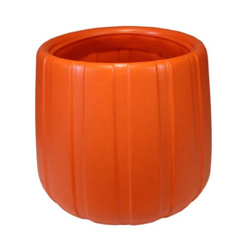 Daffodil Pot Orange