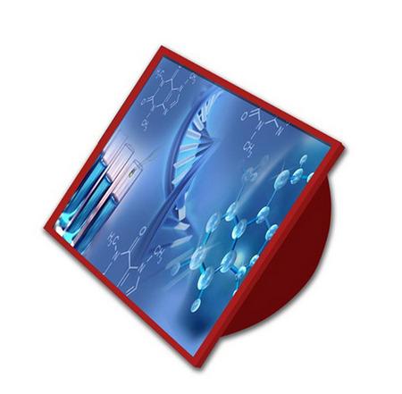 3D Lenticular Rocking Paper weight