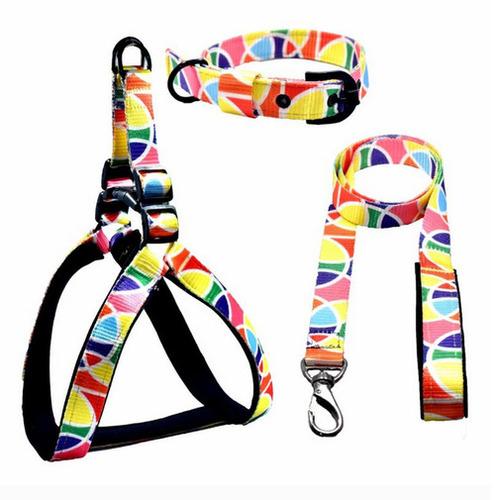 Abstract Pattern Harness Set