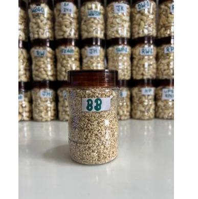 BB Organic Split Cashew Nut