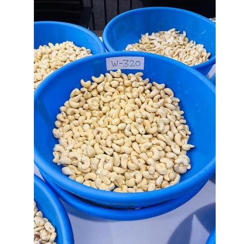 Cashew Nut w320
