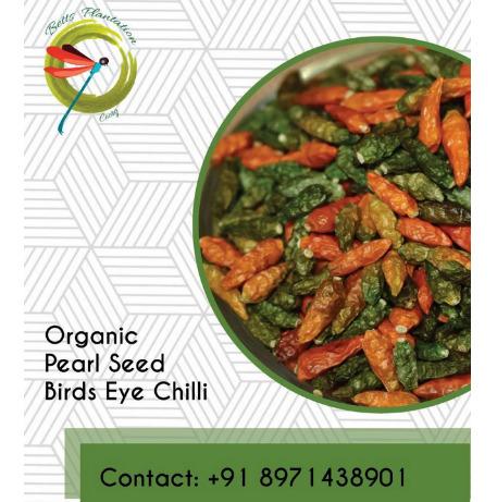 Organic Pearl Seed Birds Eye Chilli