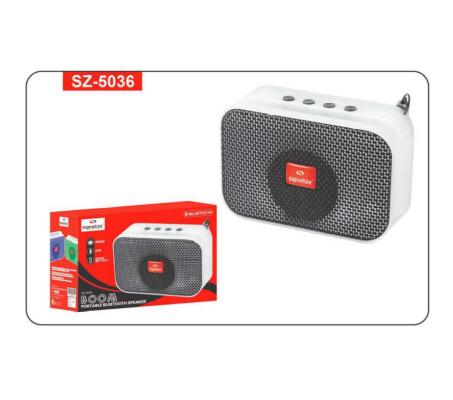 Portable Bluetooth Speaker