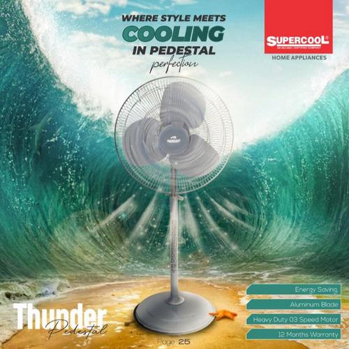 Thunder Pedestal Fan