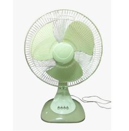 Portable Fan