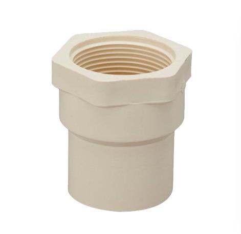 CPVC Female Threaded Adapter (Plastic)