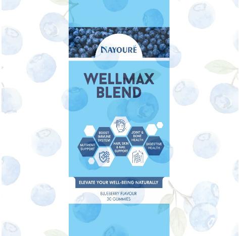 Wellmax Blend Gummies (Comprehensive Health Support)