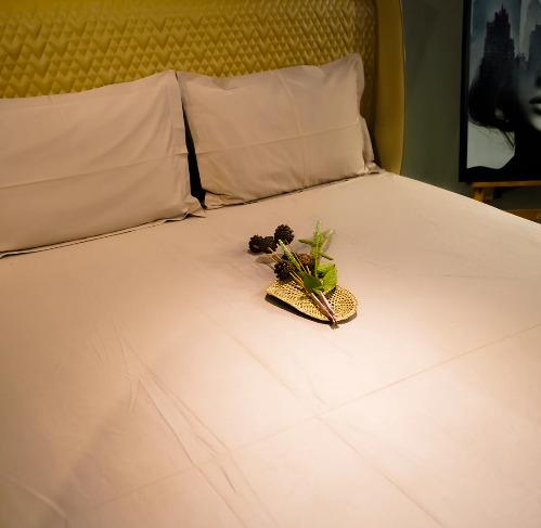 Coffee Dream 500 TC Fitted Sheet Set