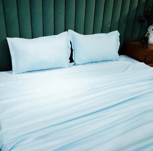 Baby Blue Breeze 300 TC|400 TC|500 TC Flat Sheet Set