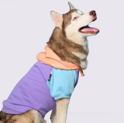 Dogs Hoodies