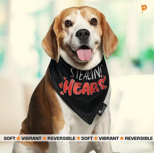 Dogs Bandana