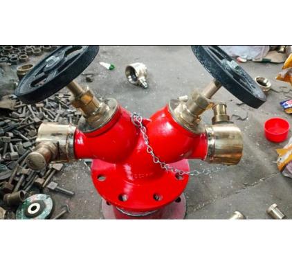 Fire Hydrant Valve