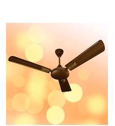 Shampion Ceiling Fan