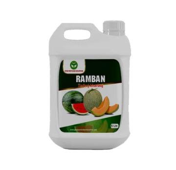 Ramban For Tarbuj- Khrabuj Special