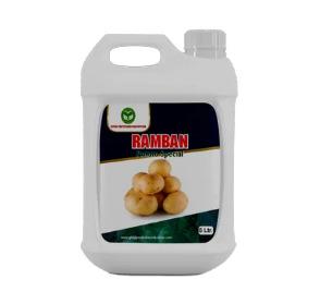 Ramban For Potato Special