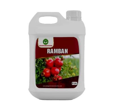 Ramban For Dalimb Special