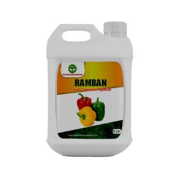 Ramban For Sweet Capsicum Special