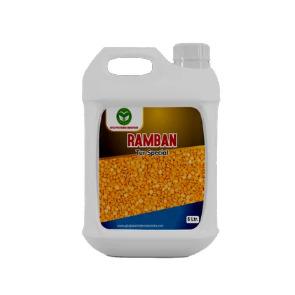 Ramban For Tur Special