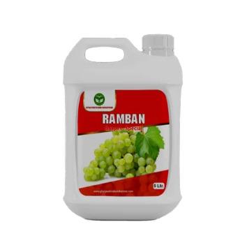 Ramban For Grapes Special