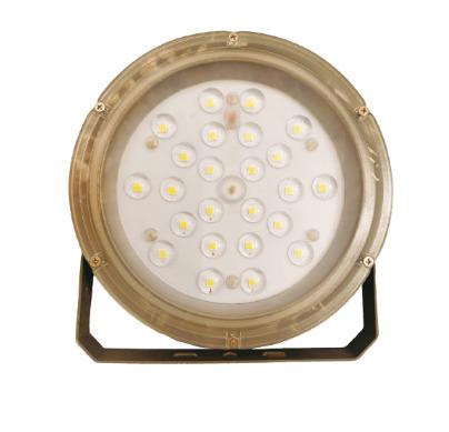 Industrial Lens High Bay Light