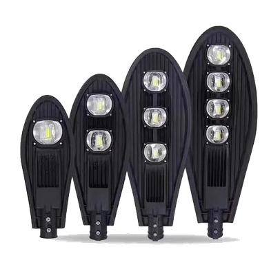 Dolphin Street Light