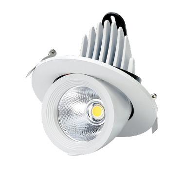 Led Zoom Light