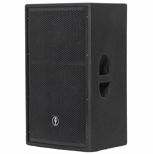 Professional stage monitor