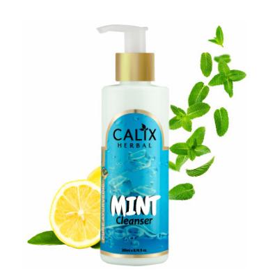 AYURVEDIC MINT CLEANSER