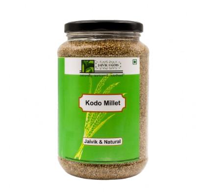 KODO MILLET