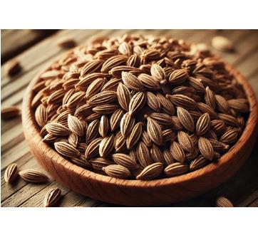 Cumin (Jeera)