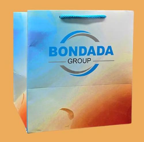 Customized Paper Bags for Corparates