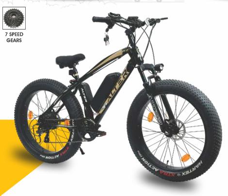 Electric Bicycle F-035 CARGO