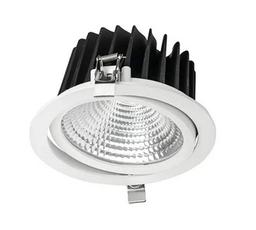 Blaze Tilt Downlight