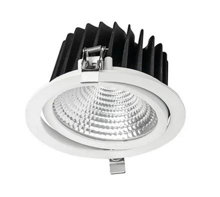 Blaze Tilt Downlight