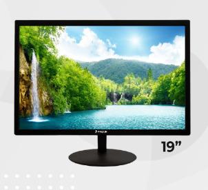PRIZ - 19FHD - M (19 inch Full HD Monitor)