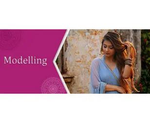 Modelling institute
