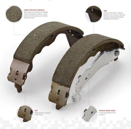 Brake Shoes
