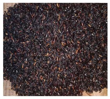 Black Rice Chak- hao